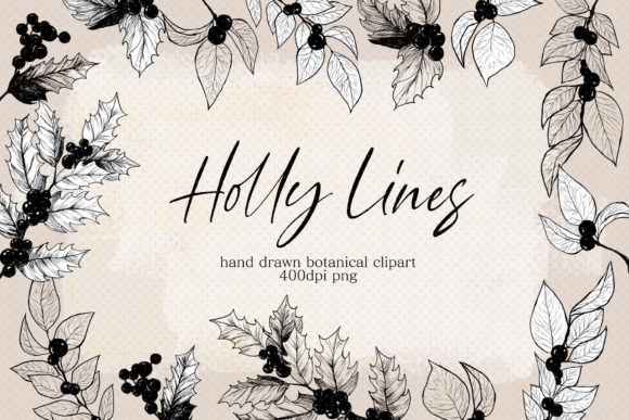 Download Vintage Holly Leaf Line Drawing Clipart - Holly Collection