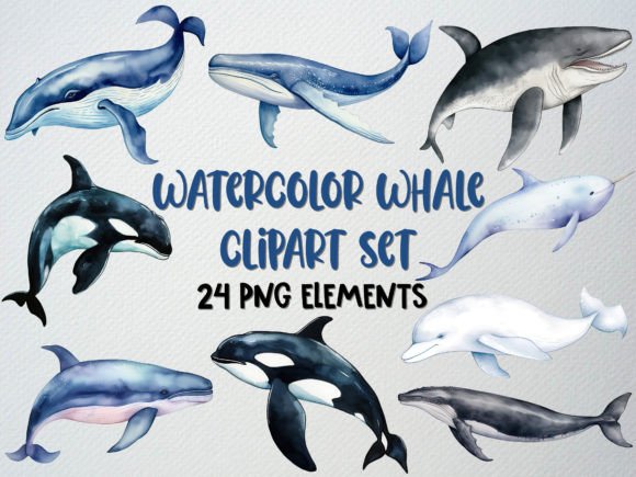 Download Watercolor Whale Clipart Set, Sea Life - Watercolor whale Collection